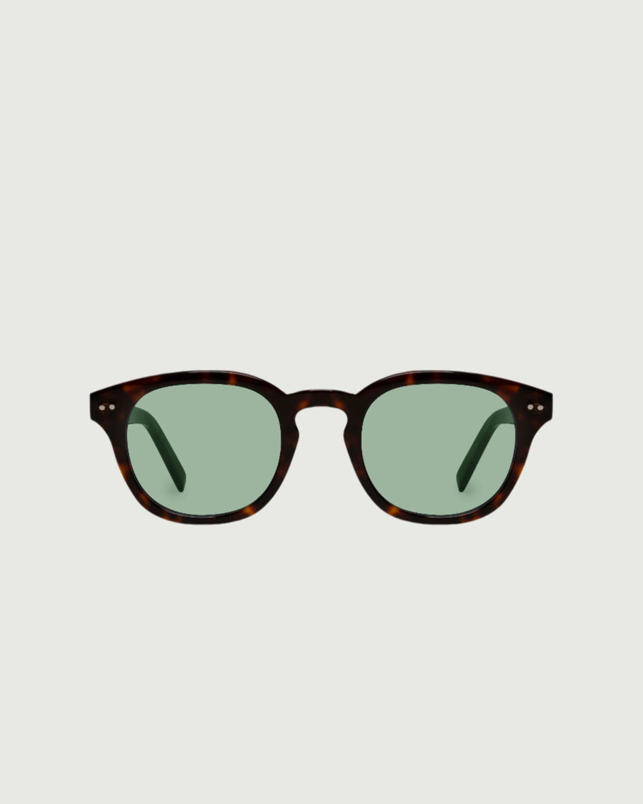 Hugh Sunglasses round Tort acetate front