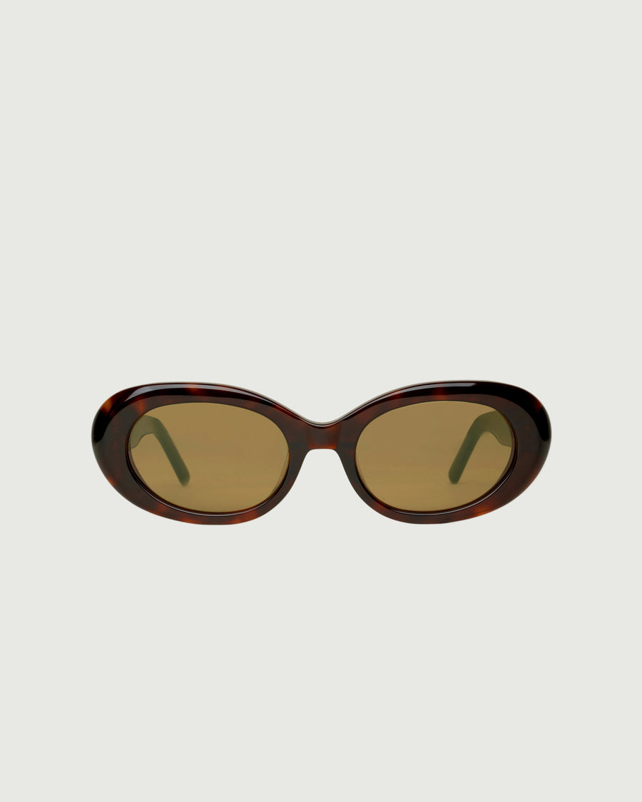 Iris Sunglasses round tort acetate front