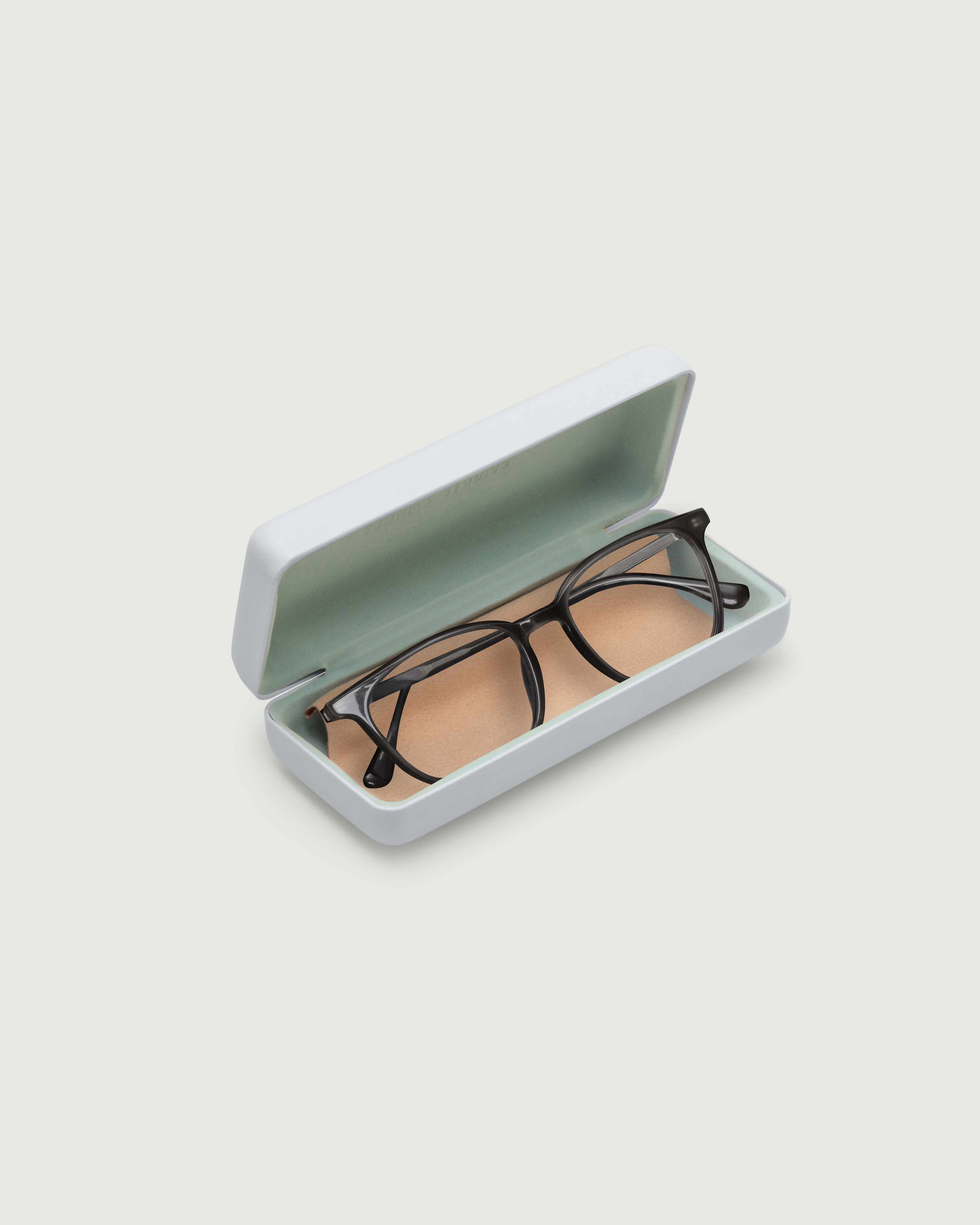 Hard Case Eyewear case white