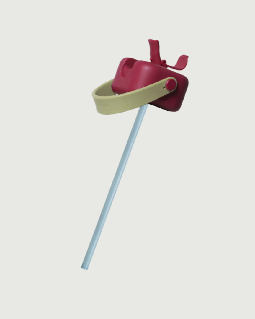 Robo Set  Brown  top 1