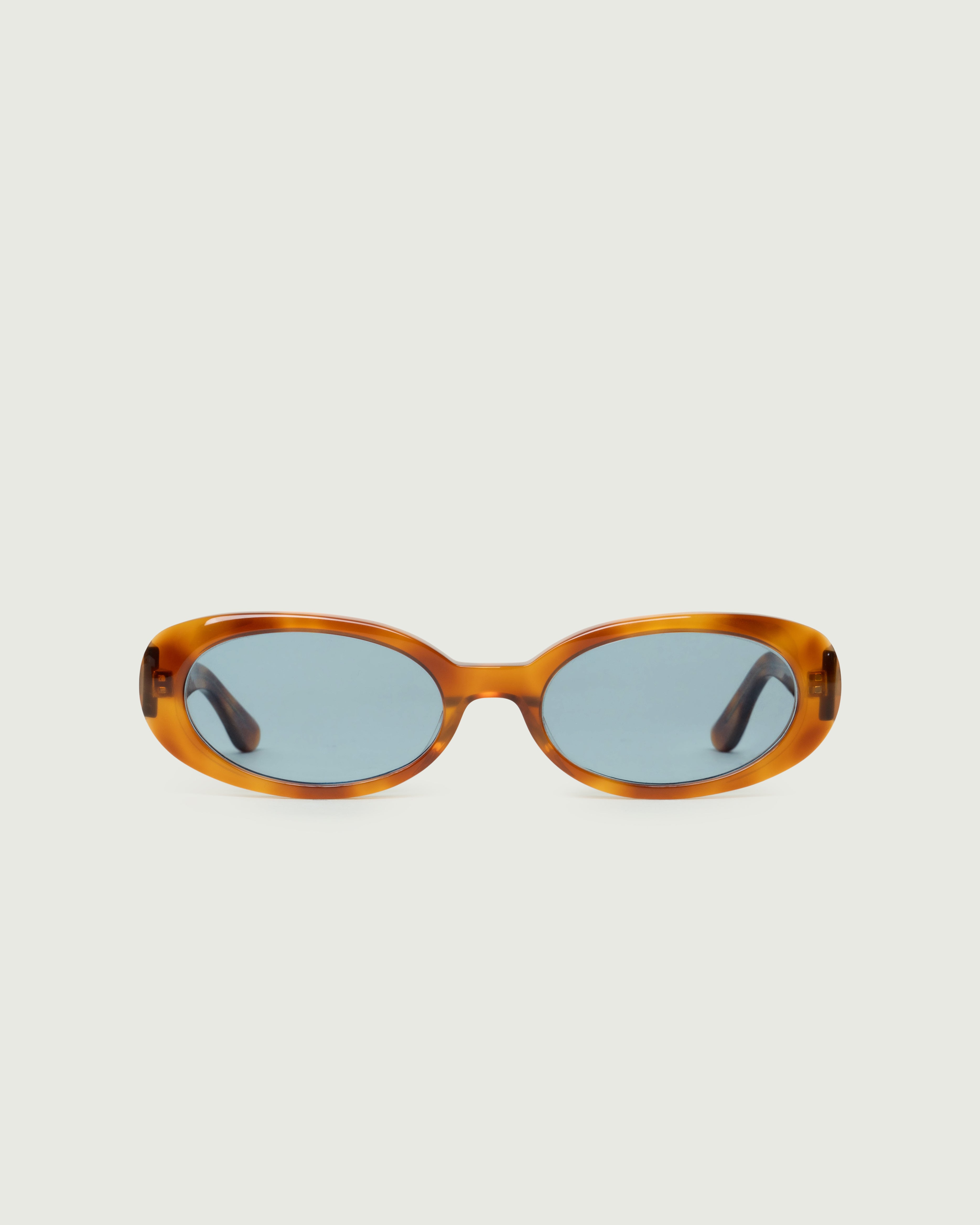 Safari Tort::Devon Sunglasses round tort acetate front