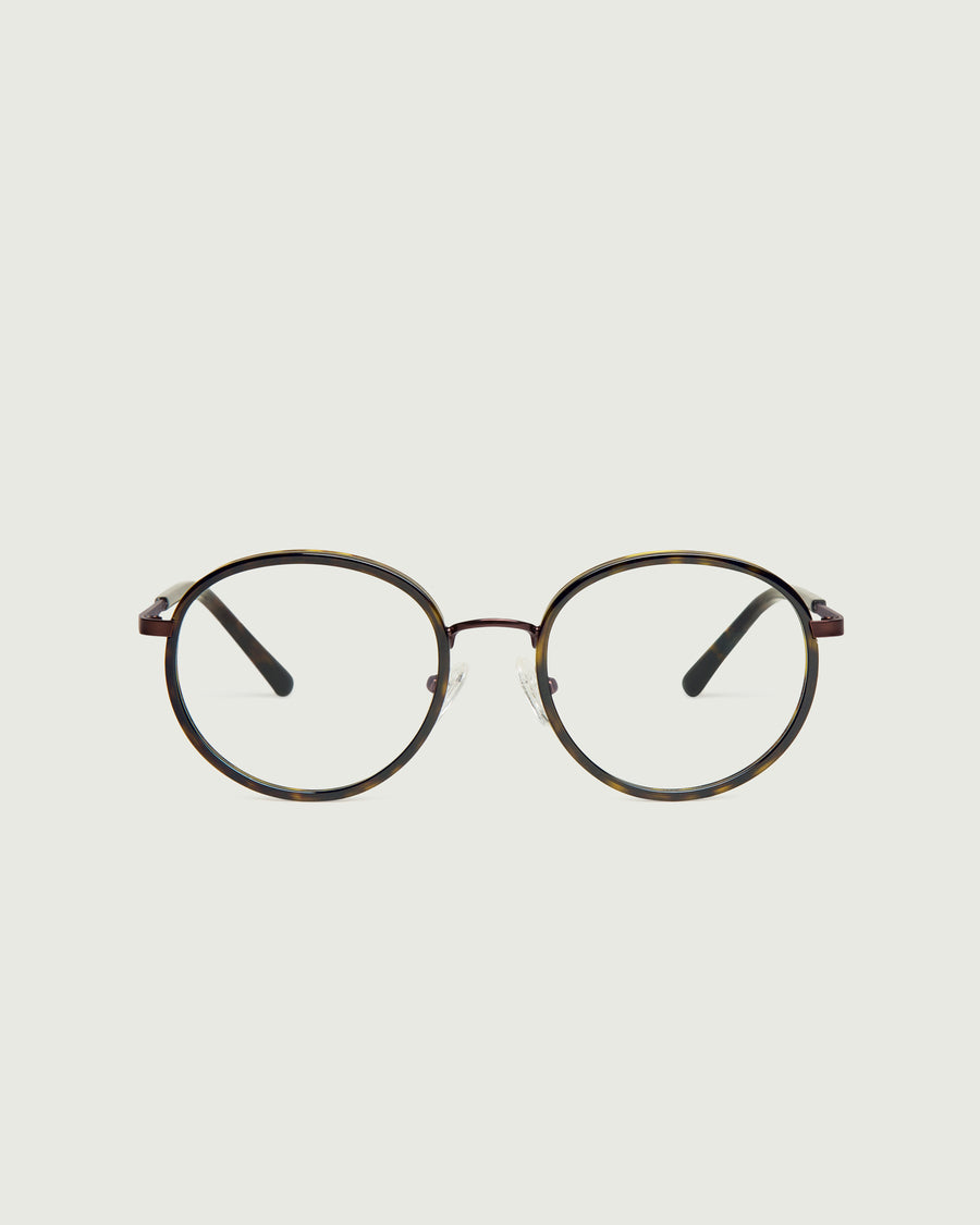 Alvaro Eyeglasses round tort metal front