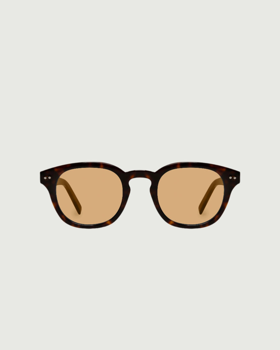 Hugh Sunglasses round Tort acetate front