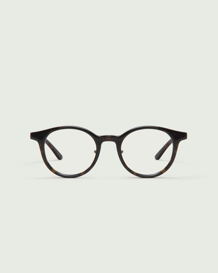 Caine Eyeglasses round tort acetate front