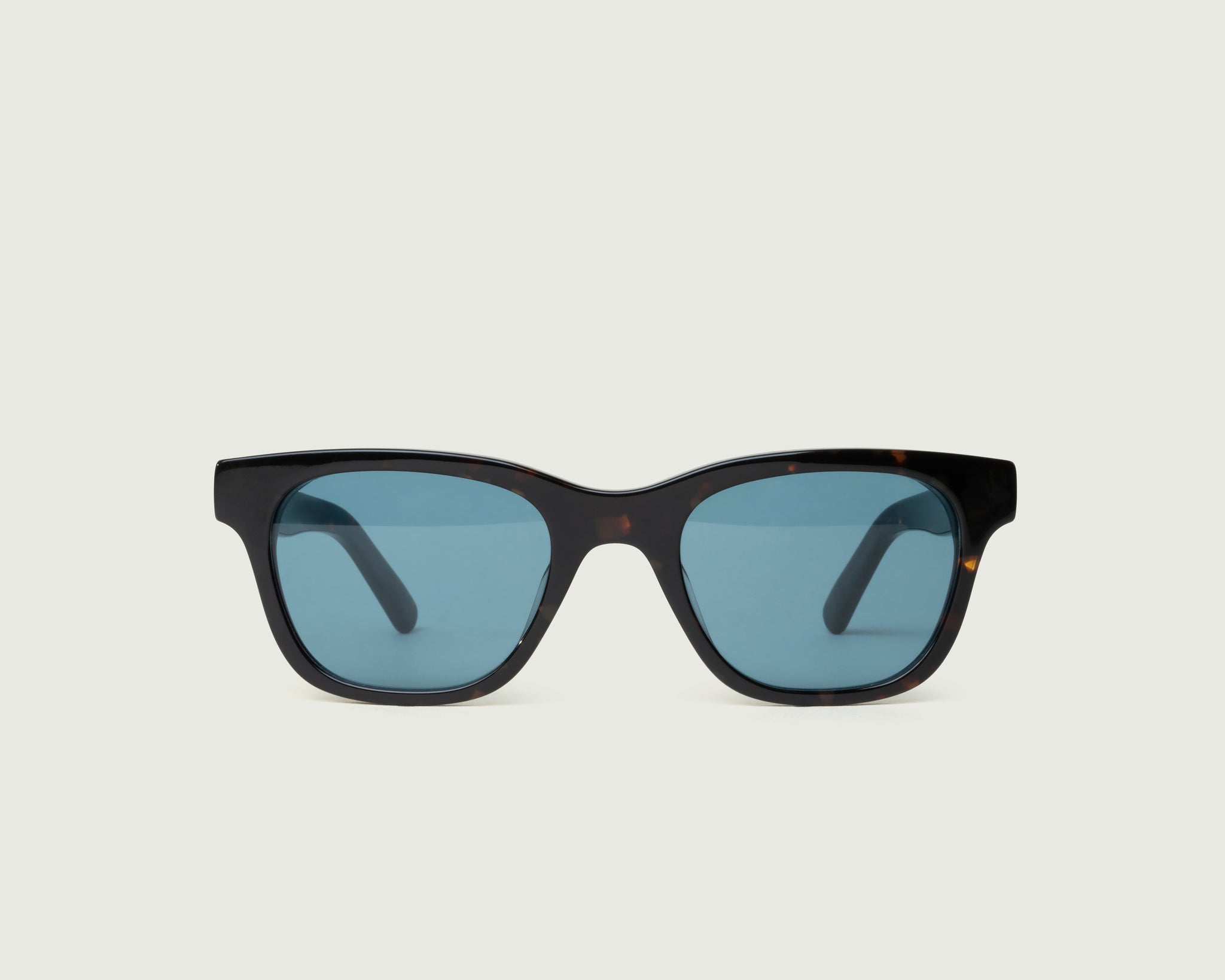 Deep Tort Bluebird::Theo Sunglasses square brown  acetate front