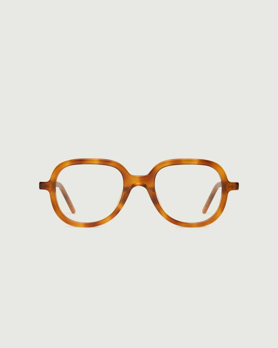 Apollo Eyeglasses round tort acetate front