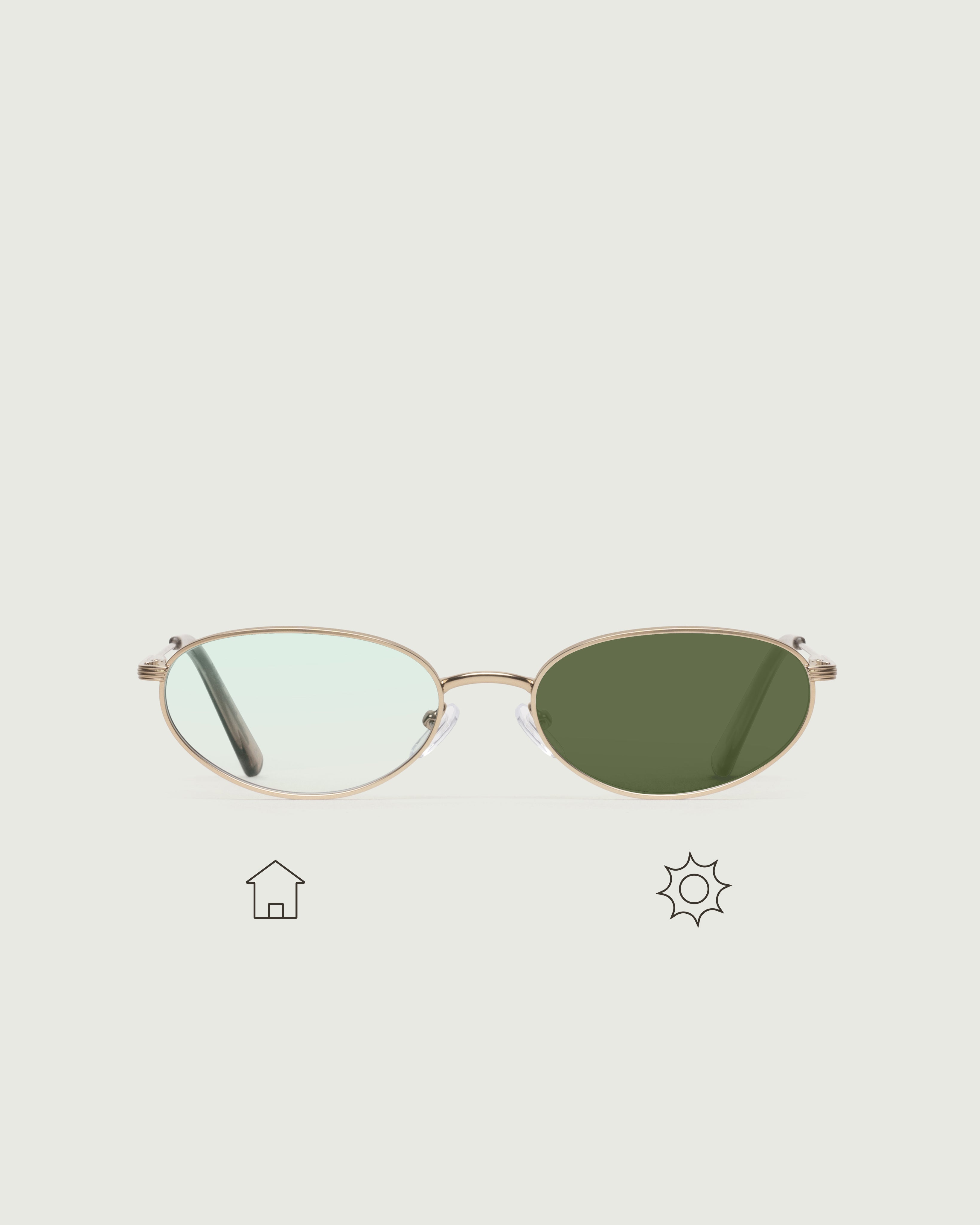 Gecko Adaptive::Marshall Anti-Radiation Glasses Oval gold  metal front