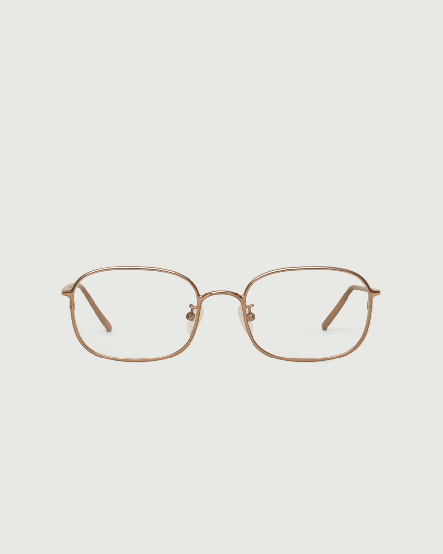 Nami Eyeglasses square Brown metal front