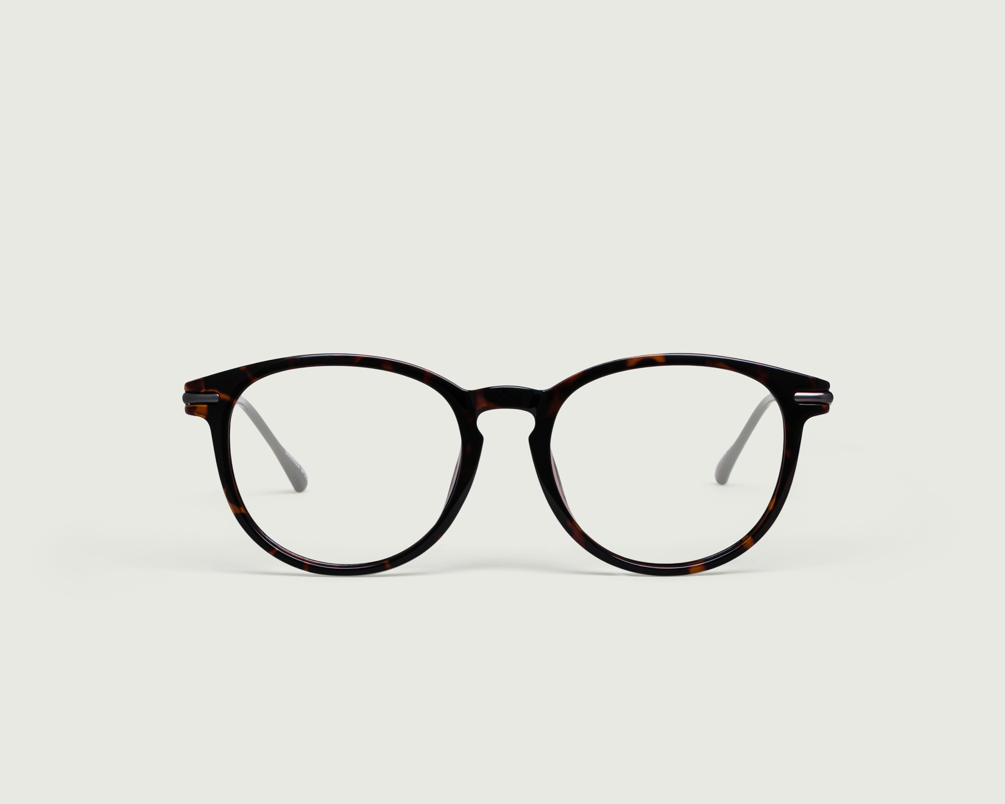 Tort::Morgan Eyeglasses round tort plastic front
